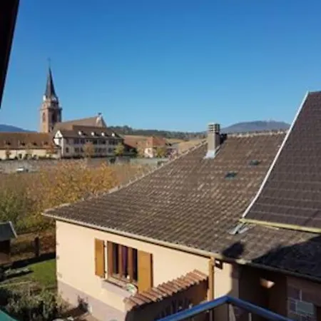 Le Clocher Aux Cigognes Au Village De Bergheim Exterior photo