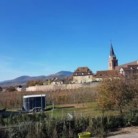 Le Clocher Aux Cigognes Au Village De Bergheim Exterior photo