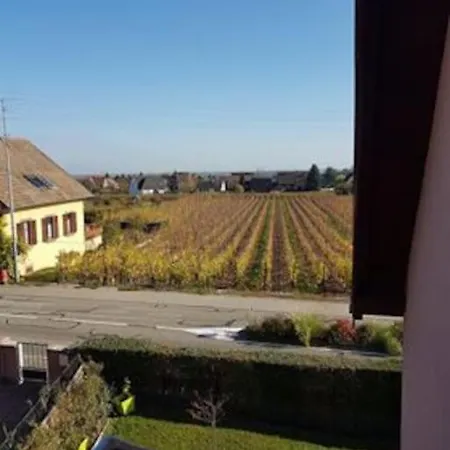 Le Clocher Aux Cigognes Au Village De Bergheim Exterior photo