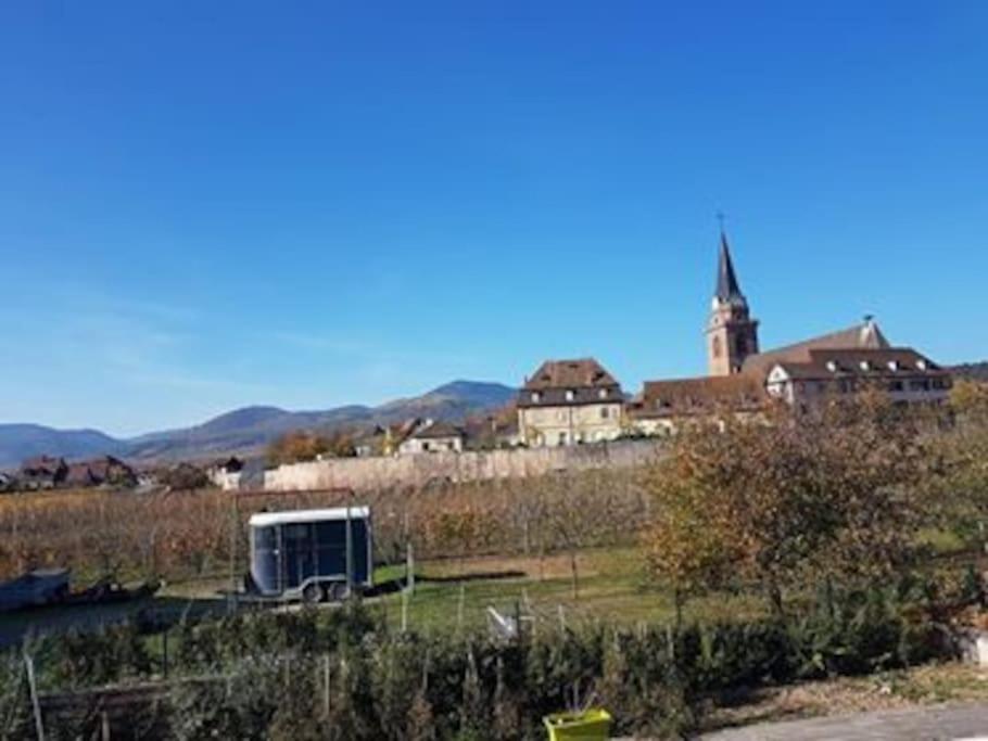 Le Clocher Aux Cigognes Au Village De Bergheim